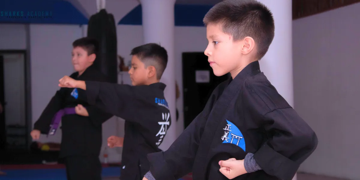 Películas de artes marciales en familia