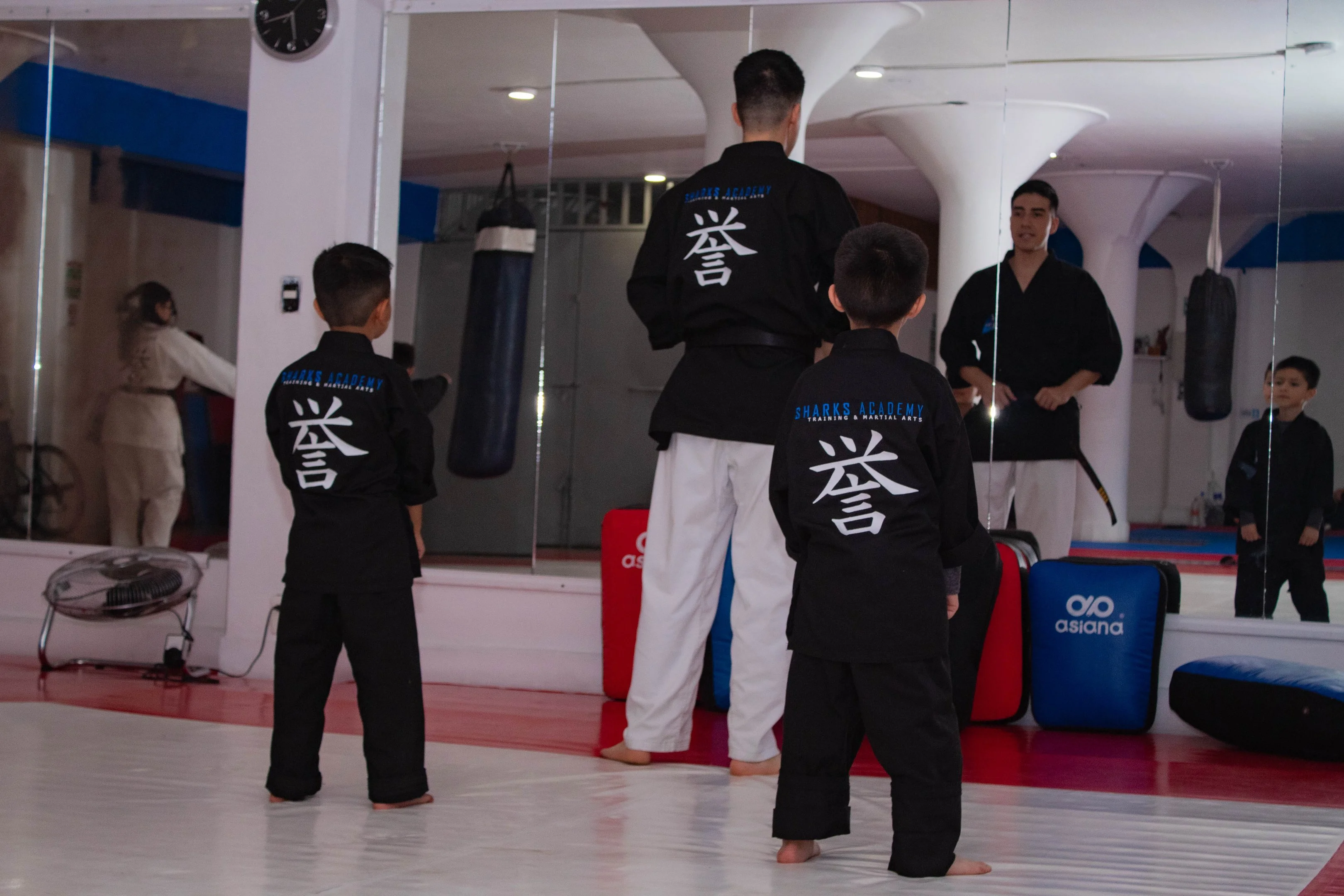 Salud mental y artes marciales